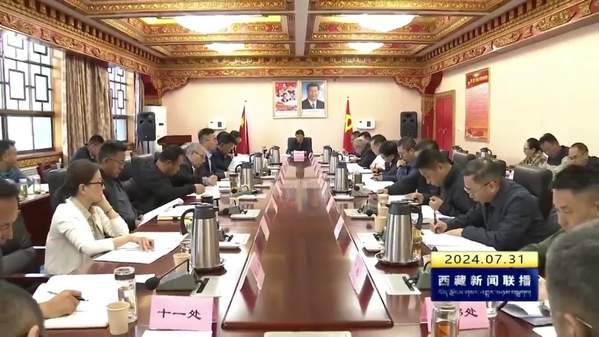 区党委统战部专题学习研讨党的二十届三中全会精神